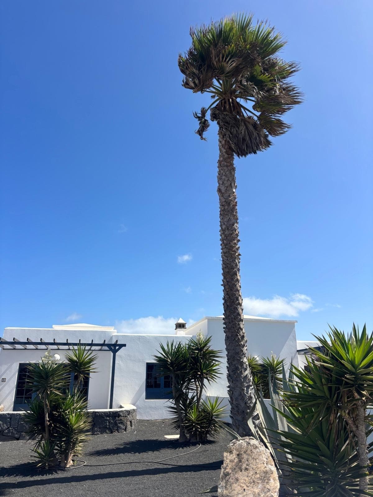 VILLAS EN PRIMERA LÍNEA DE MAR EN PLAYA BLANCA, LANZAROTE — imagen 6